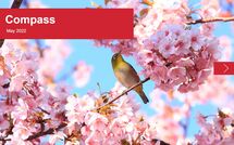 bird flowers may