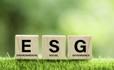 'Ambiguity and individualism': Advisers on rising investor demand for ESG