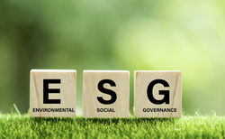'Ambiguity and individualism': Advisers on rising investor demand for ESG