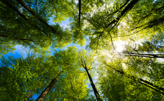 FCA releases further proposals for sustainability reform 