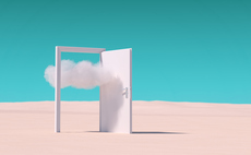 Market evolution: The protection portal paradox