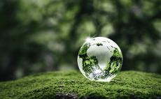 ESG interest among clients remains stagnant compared to last year