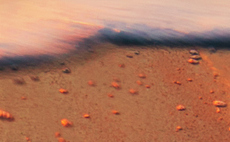 Sunset clause extension: How will it impact private market investing?